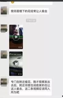 大盗爆料视频,揭秘神秘盗贼团伙的惊心动魄内幕  第3张