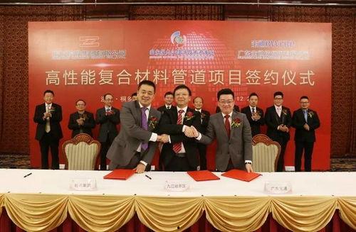 鹏飞集团最新爆料事件,揭秘事件背后惊人真相  第2张